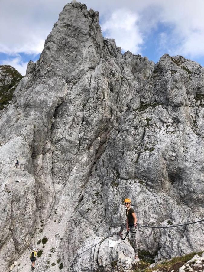 Apartments Edelweiss & Enzian - Gaestehaus Zum Fuchs แฮร์มากอร์ ภายนอก รูปภาพ